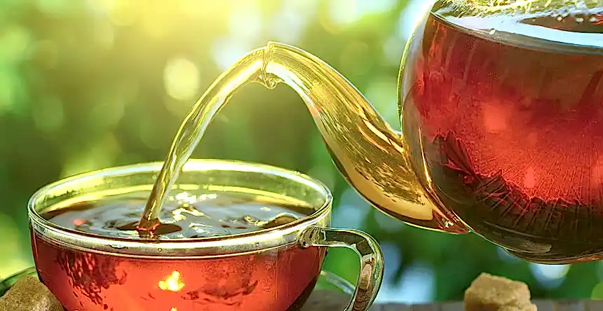 Endüstriyel Çay Kazanı Tercih Ederken Nelere Dikkat Edilmeli